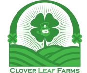 clover leaf farms